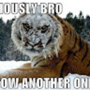 Meet your Posher, Douglas